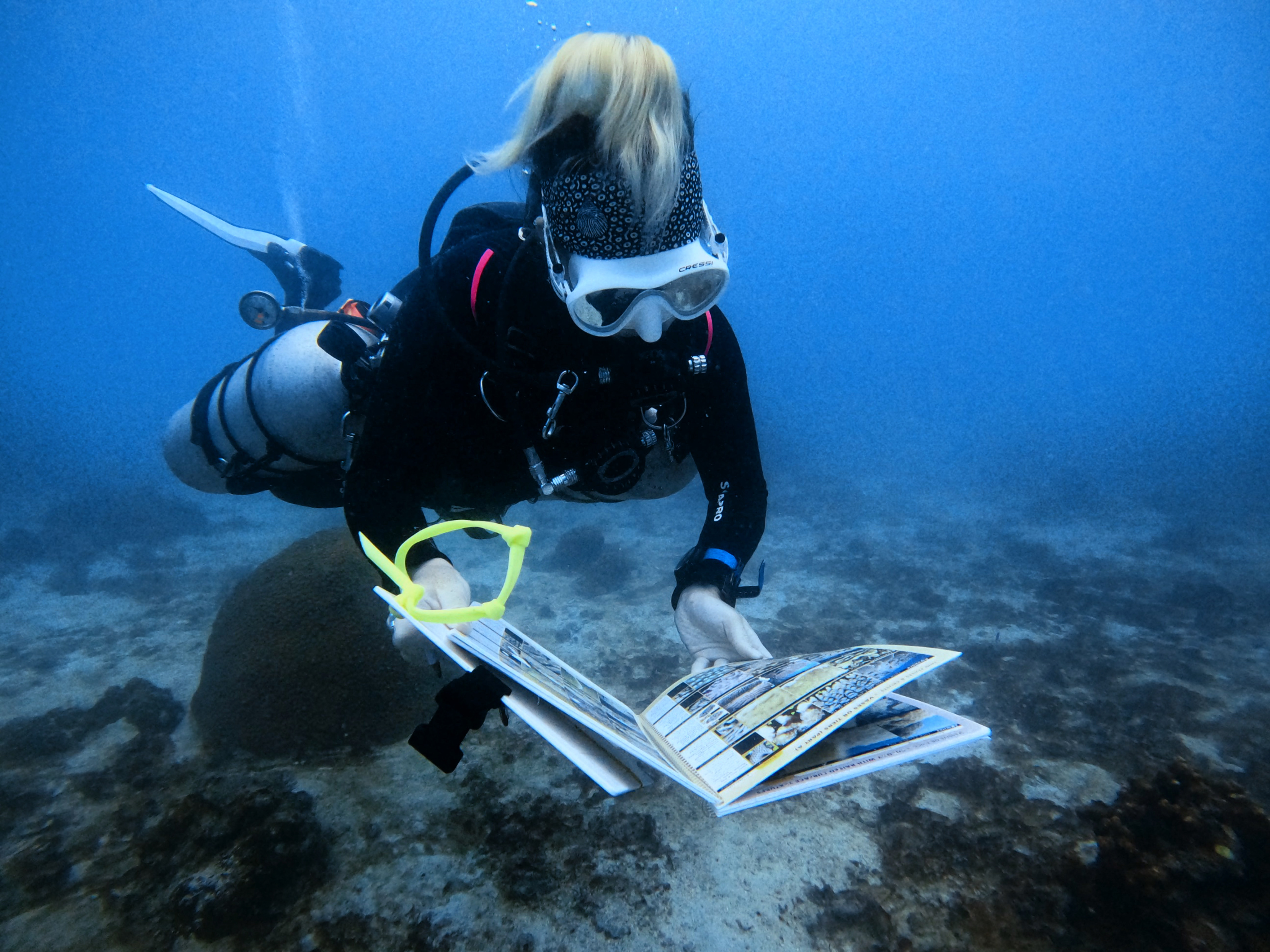 Koh Tao Marine Research Project
